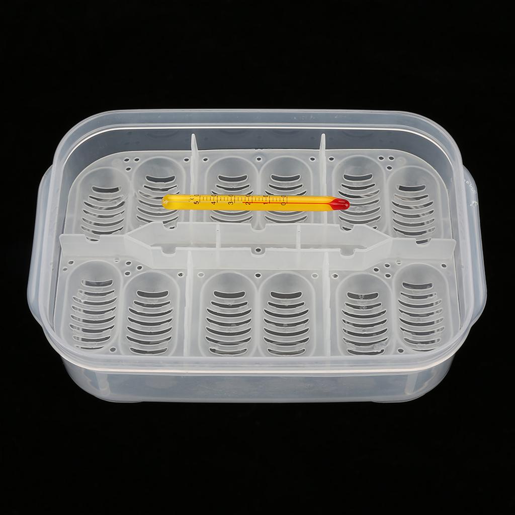 12 сеток, змей, гекконов, ящериц, рептилий, яиц, инкубатор, лоток, инкубационная коробка с термометром