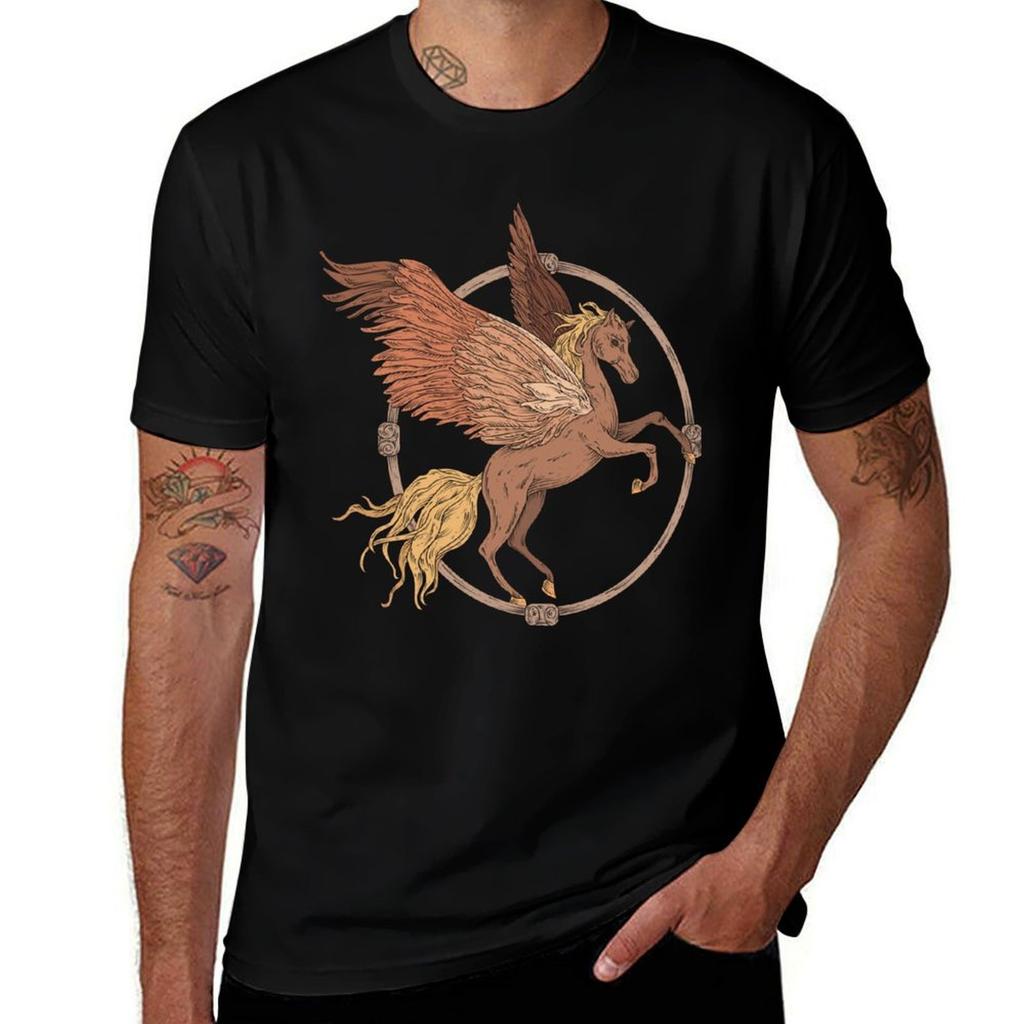 Flying Pegaasus In A Wooden Frame Tshirt Work Style Casual Tshirt