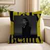 Singer JJOLIN Cushion Cover Soft Short Plush SkinFriendly Cushion Case for MultiScene Use