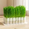 Sprout Planting Helper Hydroponic Sprouting Plate Horticultural Tool Cat Grass Dish
