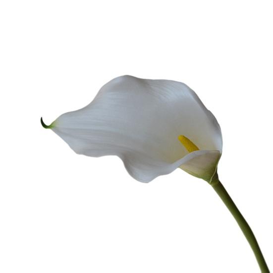 Искусственные цветы каллы на длинном стебле, букет искусственных цветов, реалистичные цветы из латекса на ощупь для декора дома, спальни, офиса, свадьбы, вечеринки, мероприятия