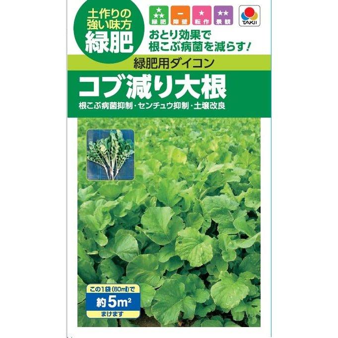 Takii Seed Kobuheri Daikon Green Manure Radish Seeds 60ml for Clubroot Disease Control Soil Improvement
