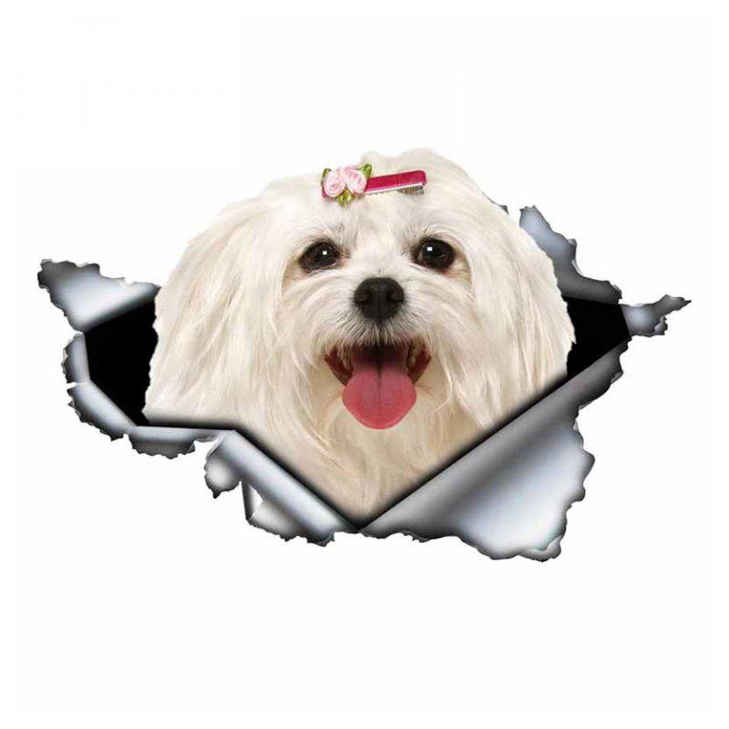 A0108 #13 см/17 см 3D самоклеящаяся наклейка милая мальтийская собака наклейка на автомобиль водостойкая автодекорация на бампере заднее окно ноутбука