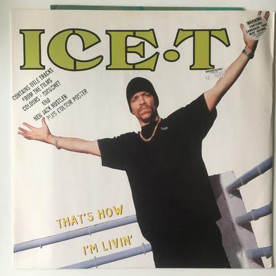 12-дюймовая пластинка ICET Thats How Im Livin SYNDT2 Rhyme yndicate 1993 UK Rap HipHopRB Б/у