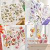 5pcs Translucent Flower Travel Series Bookmark Four Seasons Book Page Marker Reading Book Mark