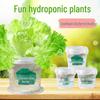 Kids' Hydroponic Planting Kit: DIY Soil Cultivation for Kindergarten Science and Souvenir.