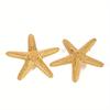 1 Pair of Pentagonal Starfish Shaped Earrings , Bright Gold Metallic Texture, Highlighting Exquisite and Noble Sense