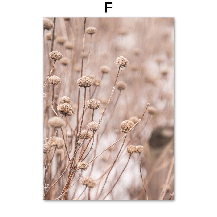 Хвост кролика, трава, тростник, закат, птица, цветок, пляж, настенные художественные принты, картина на холсте, линия, скандинавский постер, декор, картинки для гостиной