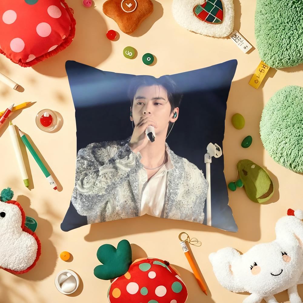 Kpop Singer Cha EEun WWoo Cushion Cover Plush Fabric Soft DoubleSided Printed Sofa Warm Winter Home Gift Pillow Cover