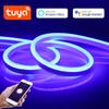 Светодиодные ленты Tuya Smart Life для комнаты, водонепроницаемые, 12 В, WIFI, неоновые светодиодные ленты, 220 В, адаптер питания ЕС, украшение для дома, Alexa Google