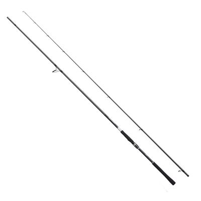 SHIMANO Saltwater Rod Seabass Moonshot 2021 Модель S110M Seabass Shore Casting