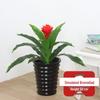 Oushoomai 50cm Artificial Guzmania Plant with Pot