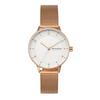 Watch RIIS SKW2918 Pink Gold [Skagen] Women's