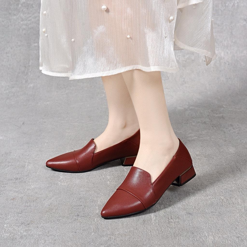 High Heels Women's 2025 Spring New Comfortable Cowhide Pointed Thick Heel Medium Heel Work Shoes One Shoe Two Wear Low-top Shoes