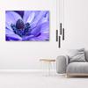 Canvas print, Blue-violet flower