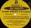 12inch Record RE!BIRTH - Know Where I'm Going Volume 2 PBTR97052 Positive Beat R 1997 Japan Dance & Electronica Used