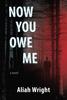 Книга Now You Owe Me