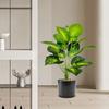 Искусственное зеленое растение в горшке Искусственная зелень Растение для помещений Напольное поддельное растение в горшке