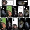 Чехол для iPhone 16 15 Xiaomi Redmi Note 14 13 12 11 Pro Max X 8 9 16e Samsung Galaxy S25 S24 S23 Moto OPPO Huawei Gorilla Ape Monkey Baby Phone Case