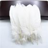 100pcs /Lot Colorful Hard Stick Natural Goose Feathers For Needlework Crafts Feather Handicraft Decor Wedding Accessories Plumes
