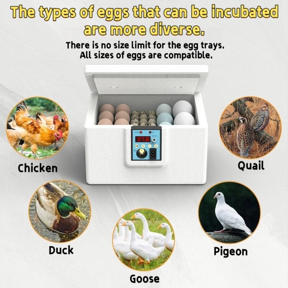 Digital Display Poultry Smart Incubator Foam Insulation Eggs Hatcher Machine  Farm
