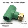 PPR Water Heater Union Pre-Filter Connector: 25 To 1 Inch, 4-6 Points, 32 Straight Elbow, Copper Water Pipe Fittings
