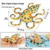 Marine Animal Simulation Models: Jellyfish, Octopus, Sea Shrimp, Sea Anemone, Squid, Horseshoe Crab, Crayfish, Arrowhead