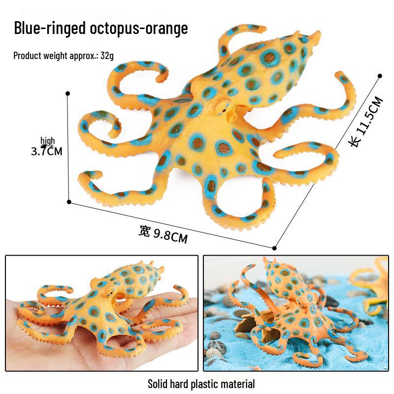 Marine Animal Simulation Models: Jellyfish, Octopus, Sea Shrimp, Sea Anemone, Squid, Horseshoe Crab, Crayfish, Arrowhead