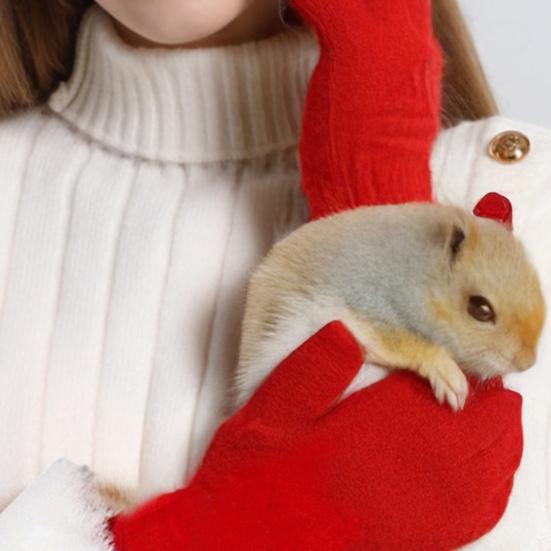 Santa Claus Gloves Christmas Red Gloves with White Fuzzy Cuffs Winter Warm Full Finger Gloves for Xmas Party Costume Accessories