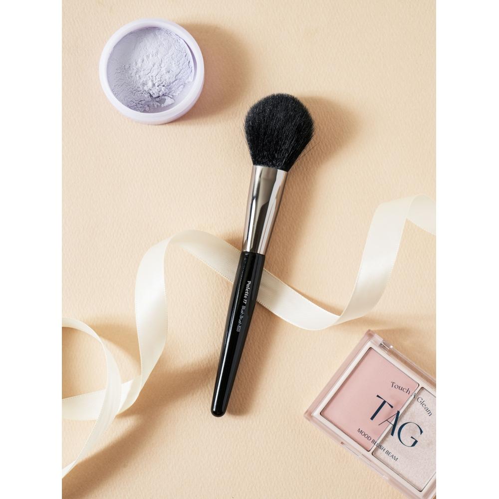 Daiso Palette 17 Blush Brush