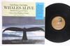 Виниловая пластинка PAUL WINTER PAUL HALLEY LEONARD N Whales Alive LM0013 LIVING MUSIC 1987 Европа New Age Easy Listening Б/у