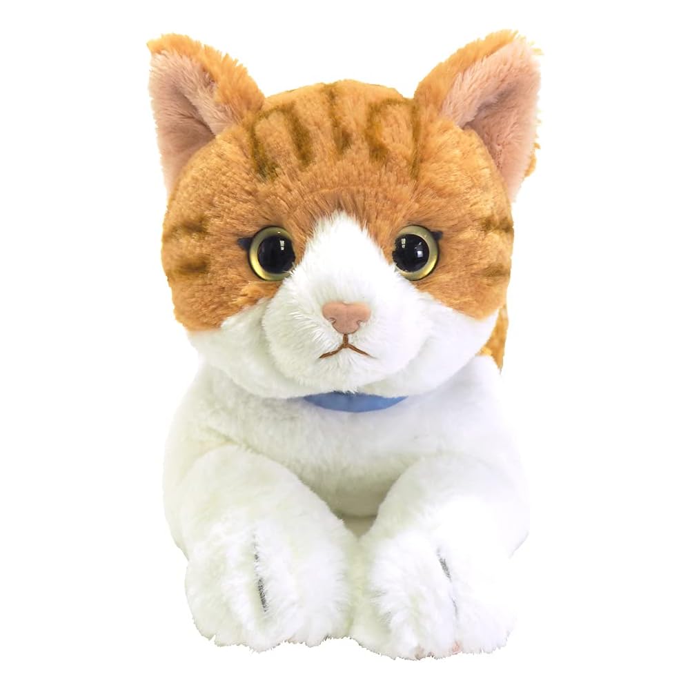 Плюшевая игрушка Sunlemon Hizaneko Chashiro 16x47x18 см Милый Кот Животное P-7802