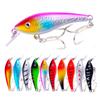 10Pcs Fishing Lures Hard Baits with Treble Hooks 3D Eyes