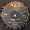 12-дюймовая пластинка DONNA ALLEN Serious Delirious Mix 6507448 Portrait 1987 UK SoulFunk Б/у
