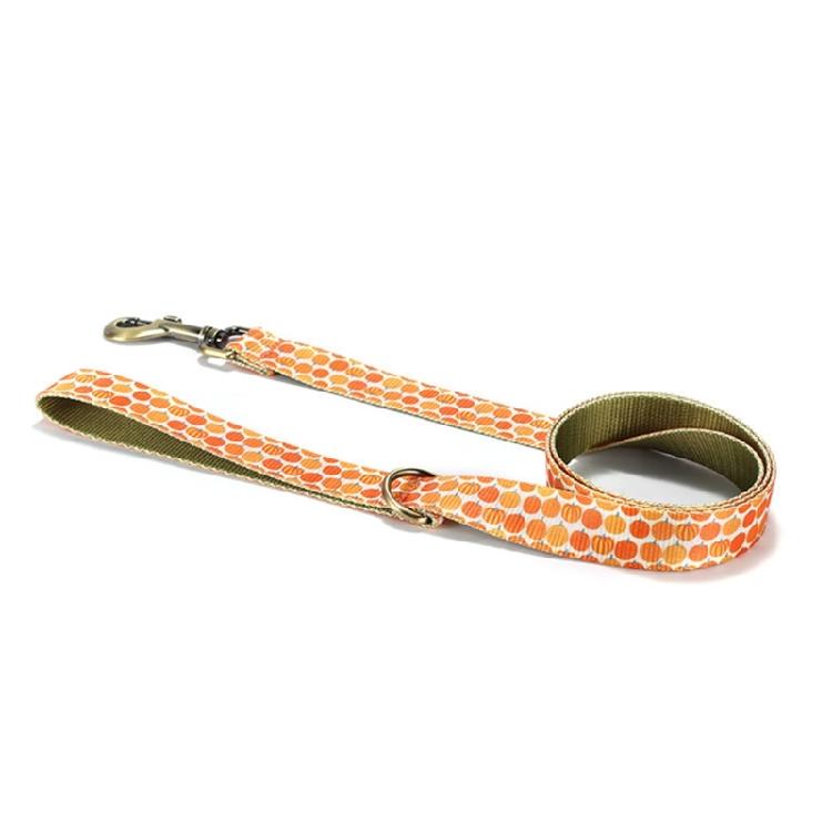 Cats Collar and Leash Set for Training Walking Belt for Large Medium Small Cats