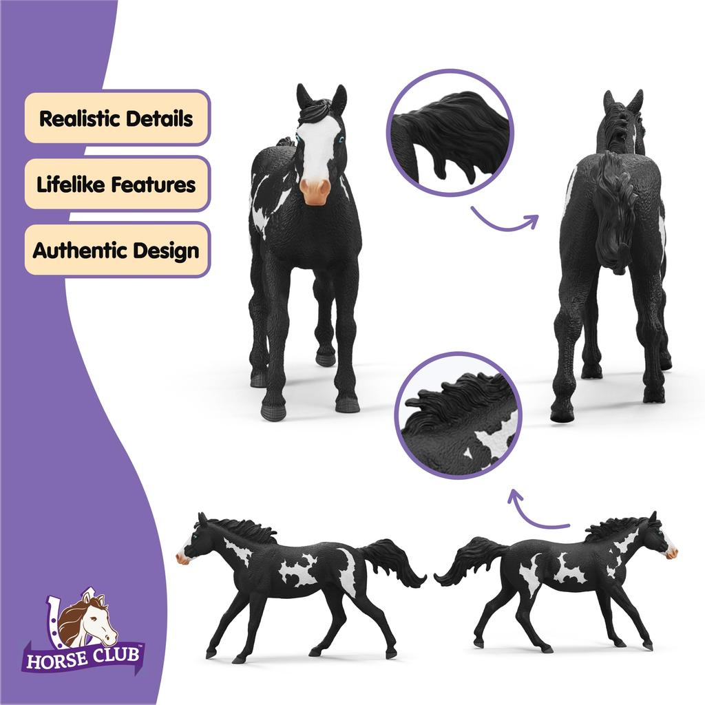 Schleich Horse Club Пинто 14900 (мужчина)