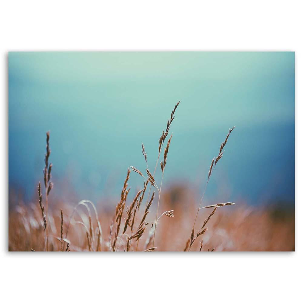 Canvas print, Grass stems