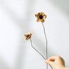 Wabi-Sabi Style Dried Flower Vase with Natural Reeds, Cattails, and Wheat (30-40cm)