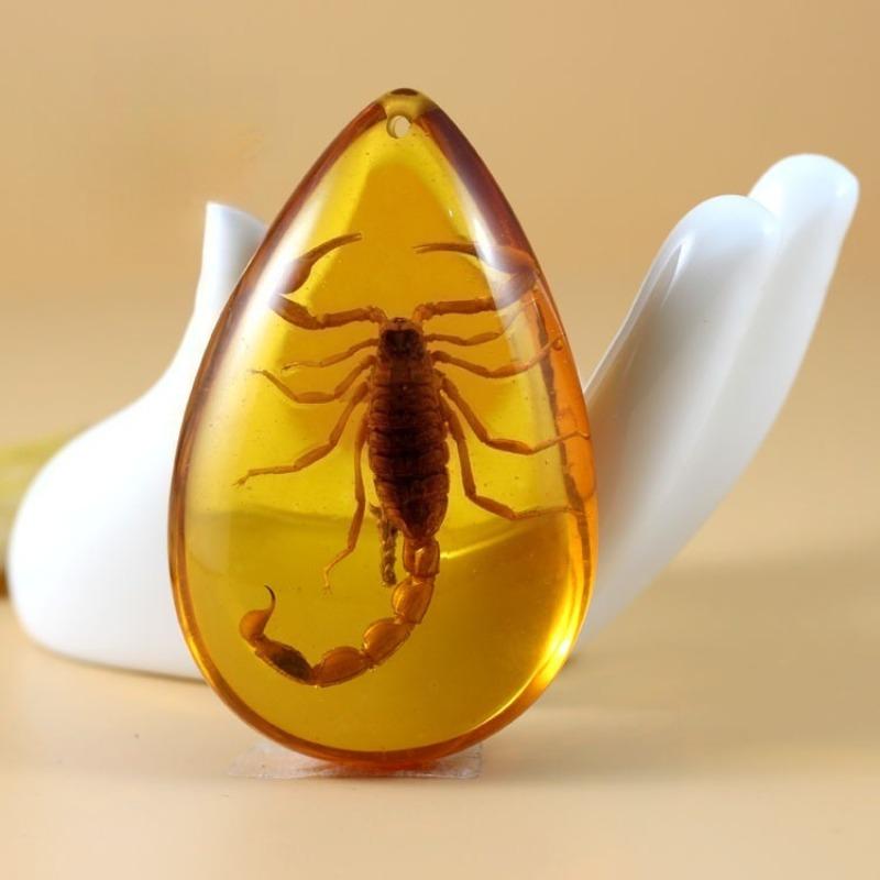 Креативное ожерелье с янтарем и скорпионом, натуральный образец насекомого, кулон в форме капли из смолы, цепочка для свитера, ювелирное изделие, подарок