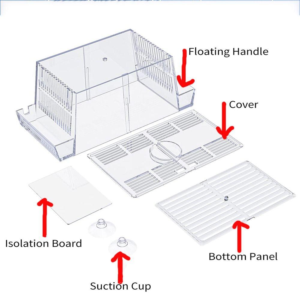 Изоляционная коробка для разведения рыб в аквариуме из прозрачного акрила с присосками для инкубатора для детенышей креветок-клоунов