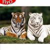 5D Алмазная вышивка Тигр картина горный хрусталь полная квадратная круглая дрель алмазная живопись животное ремесло домашний декор
