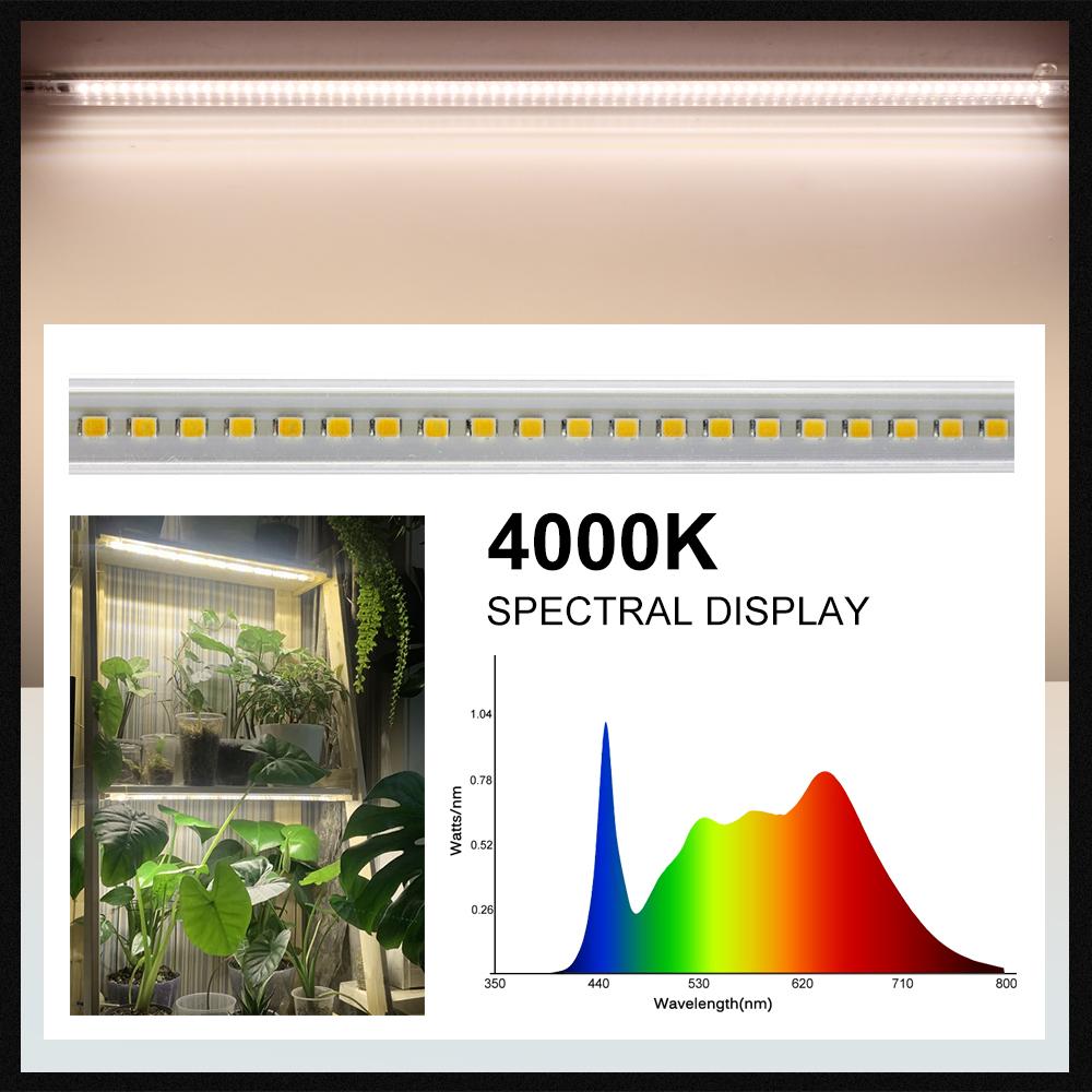 LED Plants Grow Light Tube Full Spectrum Indoor Flower Seeds Hydroponics Succulent Vegetable Cultivation Lamp Growth Box AC220V