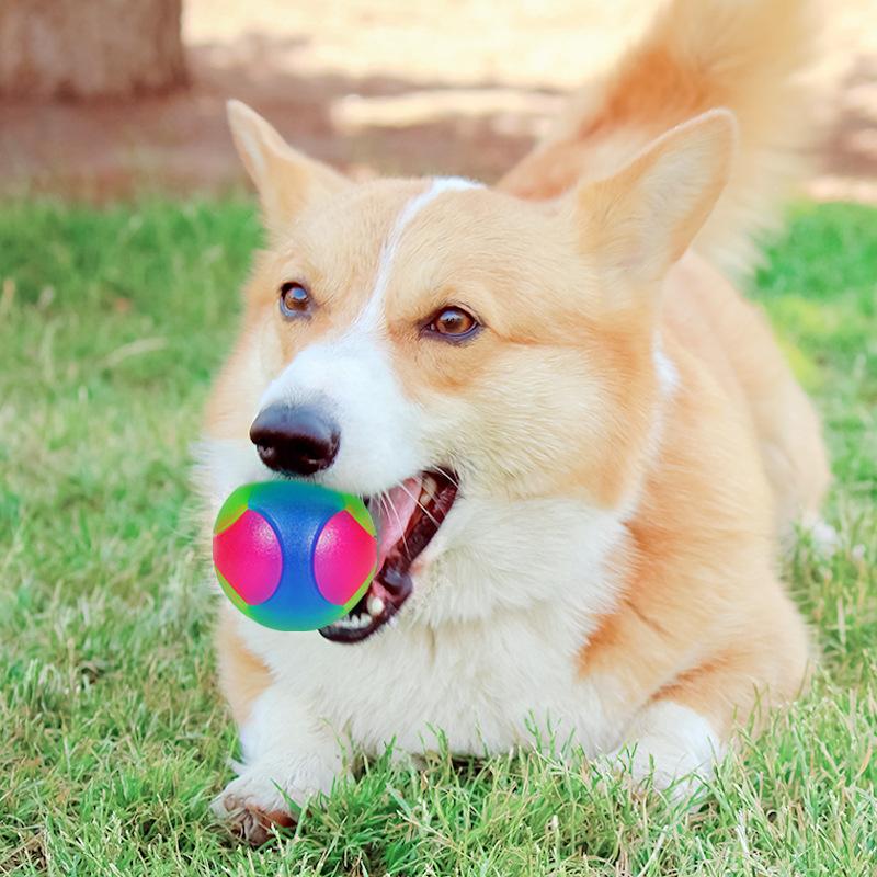 Dog Toy Ball Small Dog Flash Pet Ball Tpr Three-color Luminous Elastic Ball Training Interactive Throwing Dog Ball