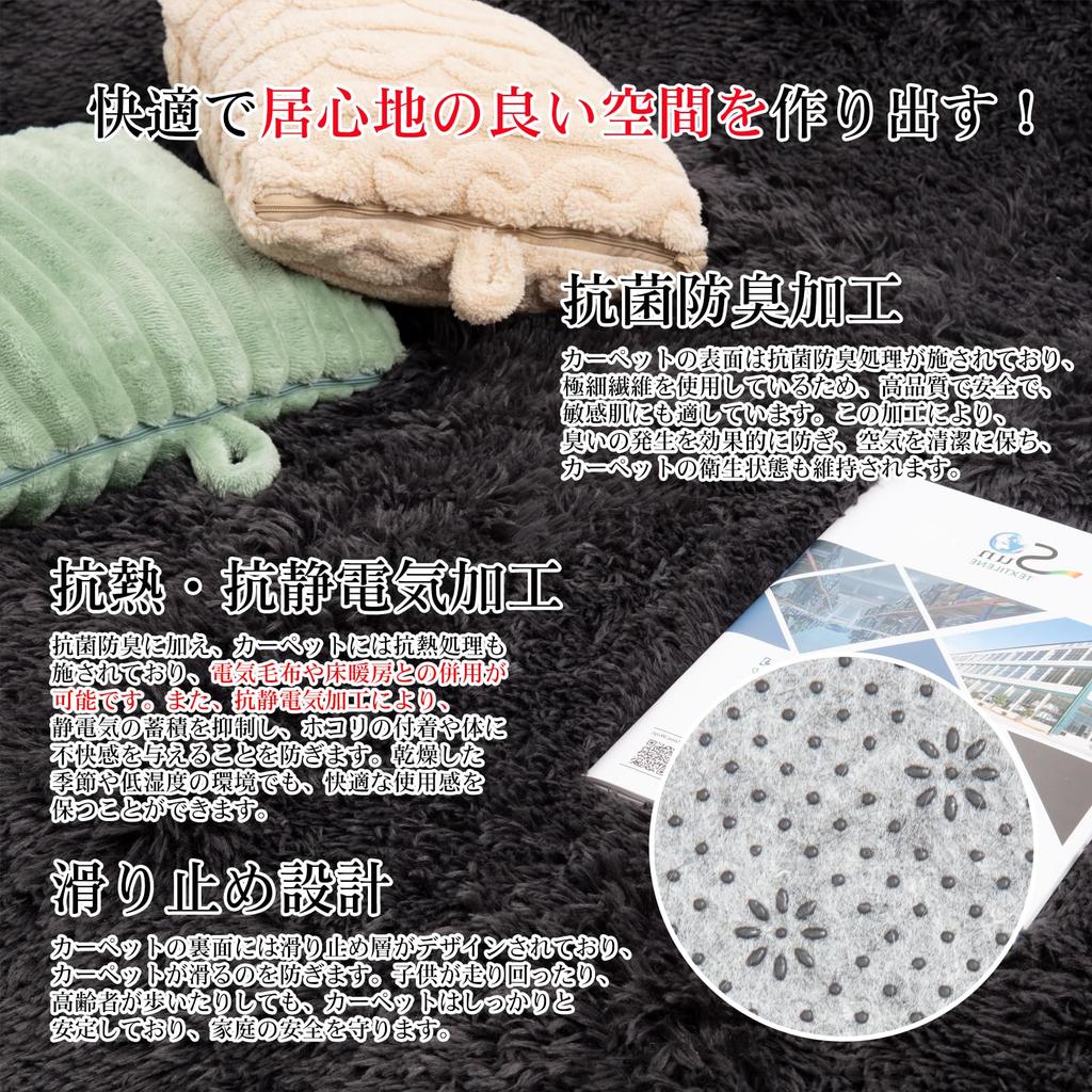 DIHACOZ Rug Model with Memory New Antibacterial and Deodorizing and 6 Enhanced 160x200mm Thick Approximately 5cm Approximately 4cm Winter Extra Fluffy