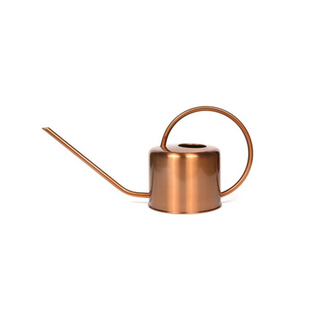 Stainless Steel Long Spout Watering Can Rustproof Leakproof Spray Kettle Watering Can Indoor