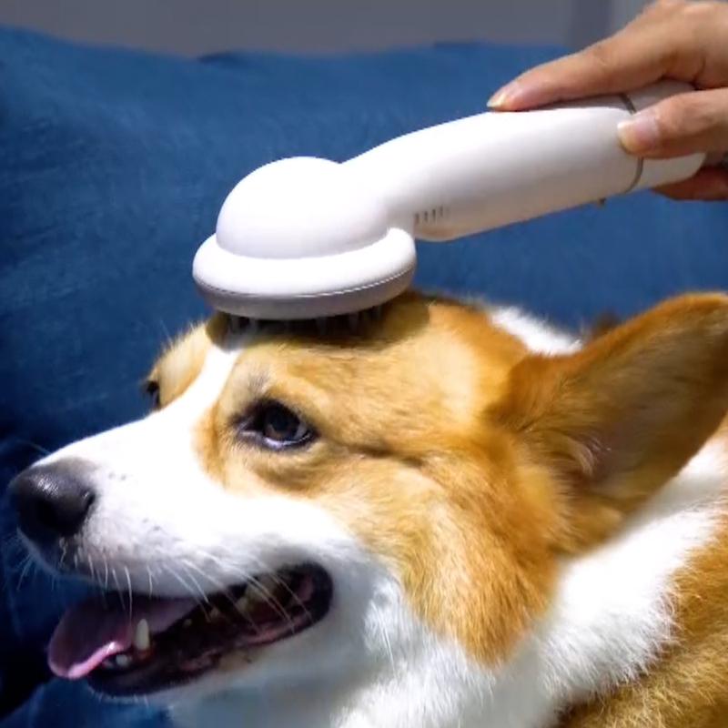Multi-functional 6 in 1 Dog Hair Grooming Kit Portable Low Noise Pet Hair Vacuum Cleaner