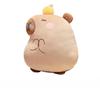 3 in 1 Multifunctional Casual Style Capybara with Fleece Blanket Hand Warmer Pink Capibara Bird Star Caps Bed Cushion for Boy