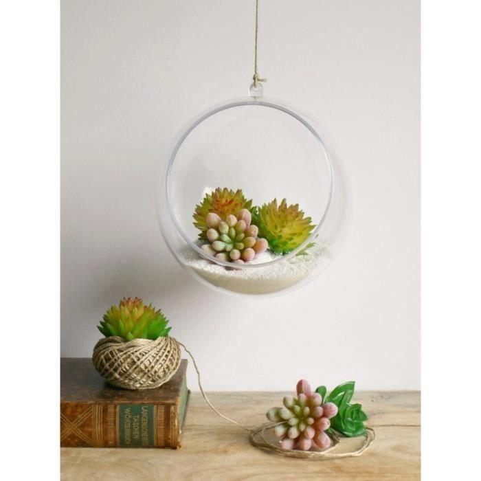 Plante artificielle - Rayher - Echeveria - 5 cm - Décorative - Relaxation intérieure