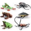Realistic Pvc Insect Model Set Including Rhinoceros Beetle And Dragonfly For Decoration