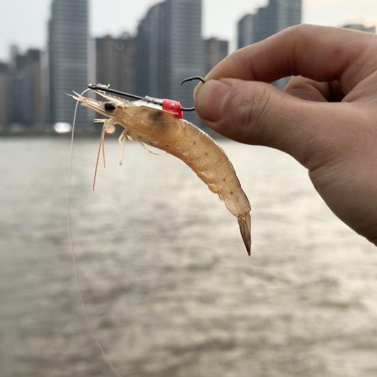 5/10Pcs Live Shrimp Fixing Hook Heavy Duty Steel Barbed Fishhook Freshwater Saltwater Catfish Bass Fishing Hook Fishing Accessories